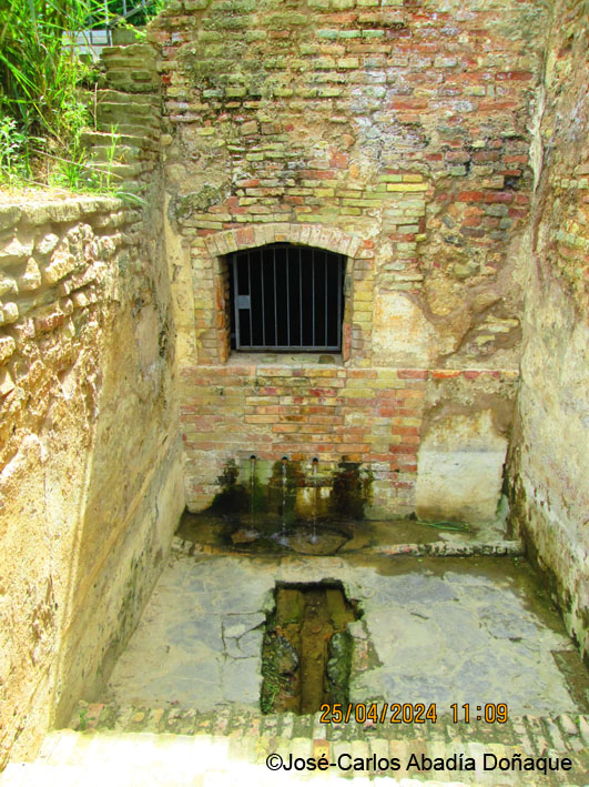 La-Fuente-Vieja