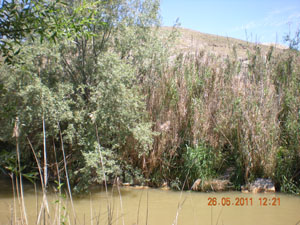 Grandes piedras Grandes piedras