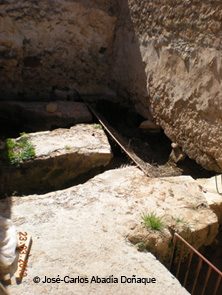 Partidor2-400.jpg 1500